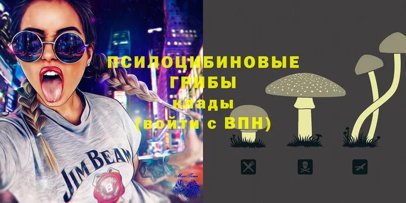 Галлюциногенные грибы Magic Shrooms  Инсар 